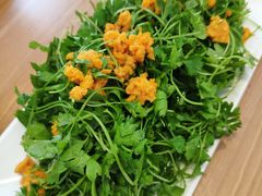 -海胆小馆(东北水饺·春柳店)