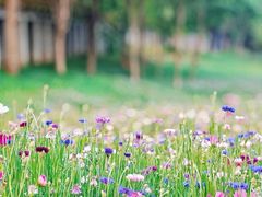 -仙海旅游度假区