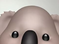 -仰口沙滩