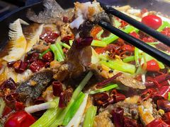 -老板恋上鱼(恒隆广场店)