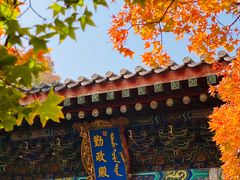 -香山公园