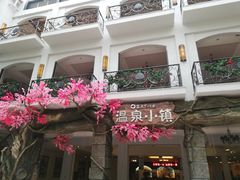 -河源客天下-温泉小镇