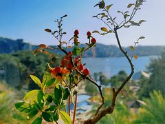 -杭州千岛湖开元度假村