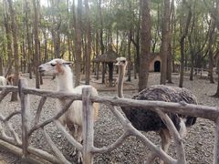 -昆山城市生态森林公园