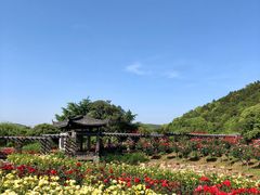 -龙寺生态园