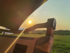 -春花秋色城市公园