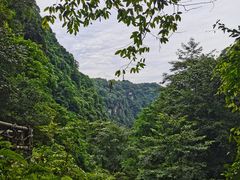 -碧峰峡风景区