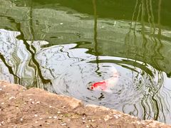 -三里河公园