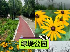 -绿堤公园
