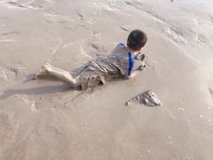-南汇嘴观海公园