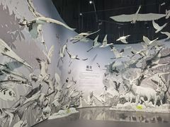 -中国湿地博物馆
