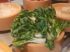 -龍歌自助小火锅(漳州二路爱购店)