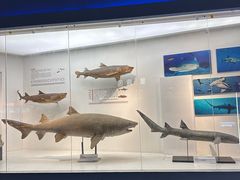 -重庆欢乐海底世界