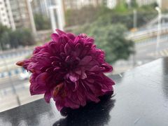 -欢乐迪KTV(观音桥未来国际店)