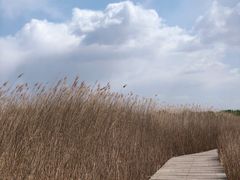 -野鸭湖国家湿地公园