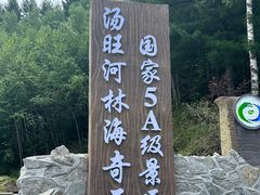 -汤旺河林海奇石景区