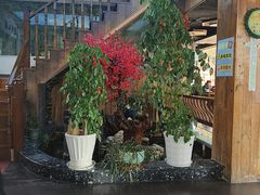 -老徽州(老街店)