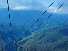 -牛背梁国家森林公园