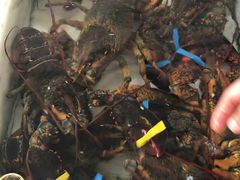 -南沙十九涌渔人码头-南门