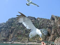 -海驴岛(荣成市)