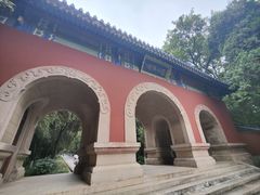 -灵谷景区