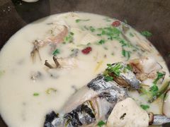 鲜潭蒸汽石锅江团鱼-鲜潭蒸汽石锅鱼(五道口购物中心店)