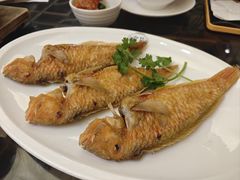 -吴记富苑(朝阳店)