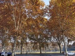 -河南省黄河迎宾馆