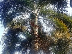 -白沙门生态公园