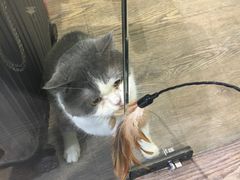 -小时光咖啡馆(开森度假森林店)