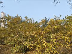 -塔子山公园