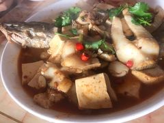 -煲来饱去冷水鱼