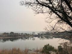 -上海市保健医疗中心(华东疗养院)