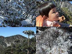 -菌自由丨野生菌火锅特色庭院餐厅(丽江古城店)