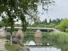 -尚湖风景区