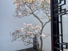 -耦园
