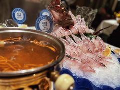 龙胆鱼-海鲨湾海鲜会馆(百家湖1912店)