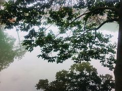 -南京市无想山景区