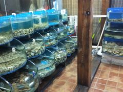 水产区-同道蒸汽海鲜烧烤自助(刘庄夜市店)