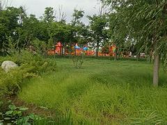 -羊亭河湿地公园