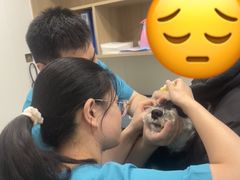 -小伙伴宠物医院•急重症转诊中心·老年专科·犬猫全科(北大街总院)