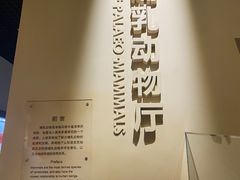 -国家自然博物馆