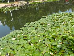 -前关湿地公园