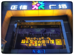 -正佳极地海洋世界