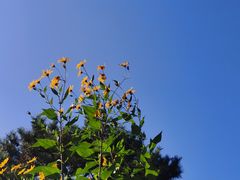 -三忘湖 SWANSEEN(柳荫公园店)