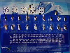 -泉城欧乐堡海洋极地世界