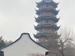 -红梅公园