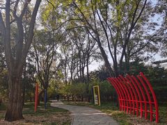 -玲珑塔公园