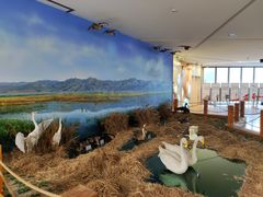 -延庆地质公园博物馆