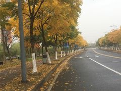 -迎泽公园